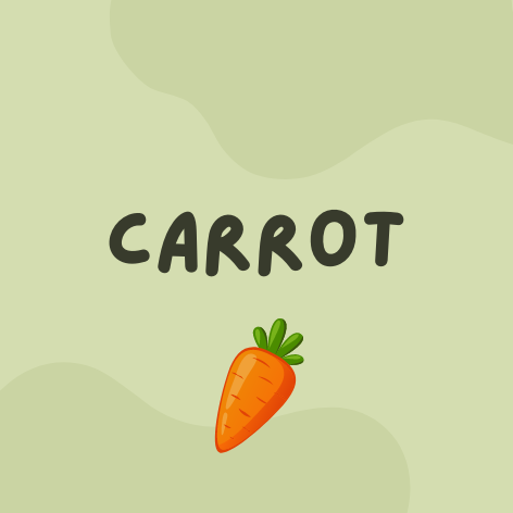 Vegan Carrot Homemade Dog Treats